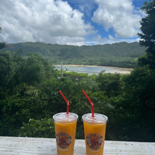 ◆【石垣島】大自然の絶景と沖縄グルメを満喫