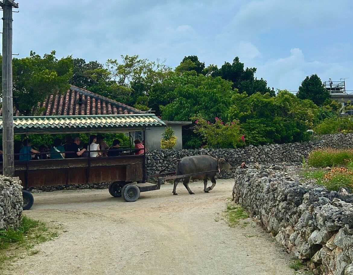 竹富島