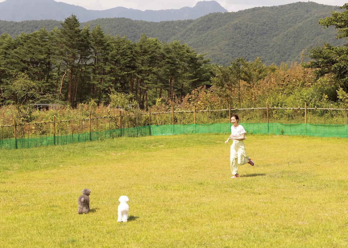 田中みな実がサウナとグランピングでリフレッシュ！長い休みがあったら「ワンちゃんとのんびり過ごしたい」