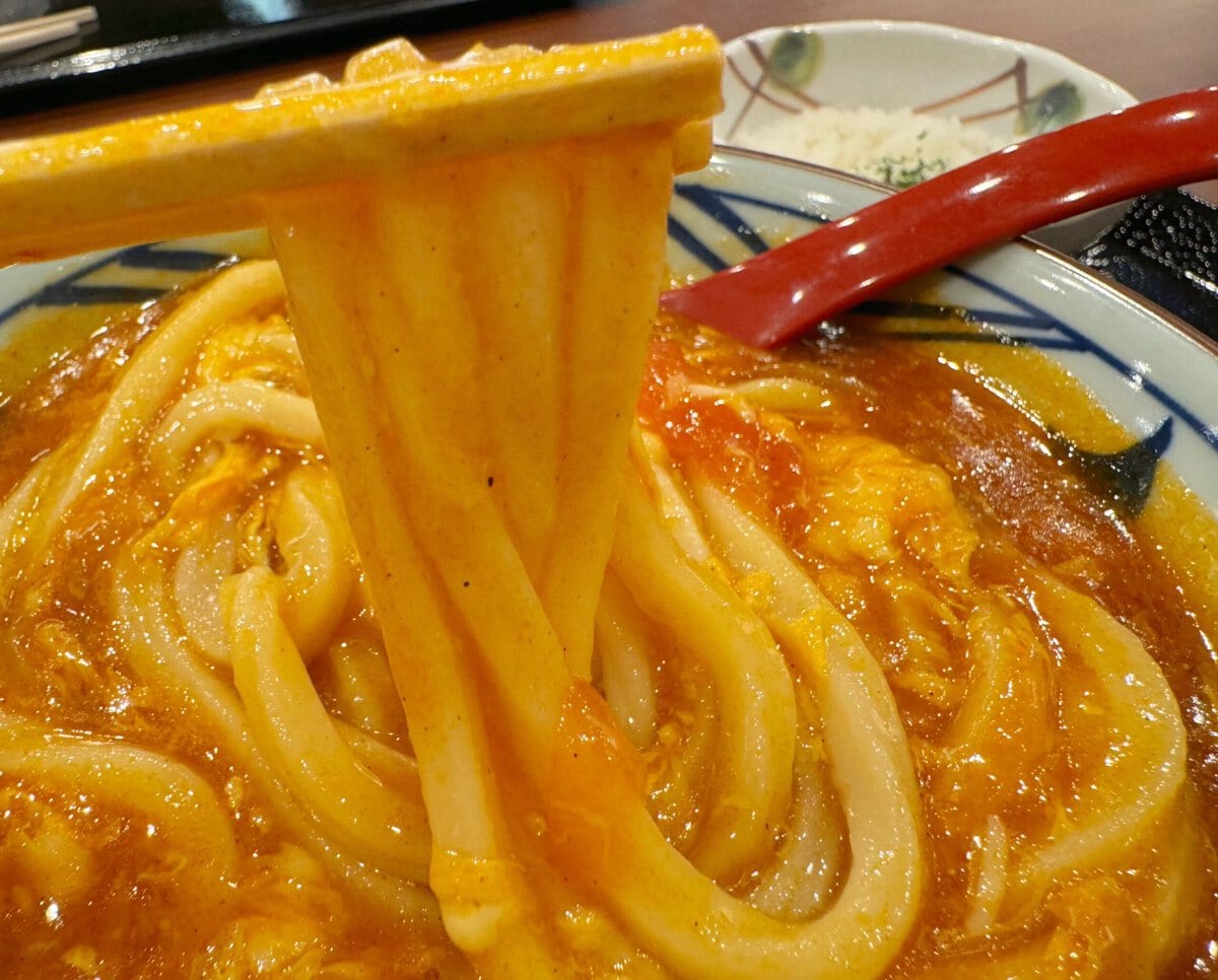 【丸亀製麺の新作3商品食べ比べ】TOKIOコラボの人気うどんが復活！フードライターが“ガツンとやみつきになる”一杯を実食レポート