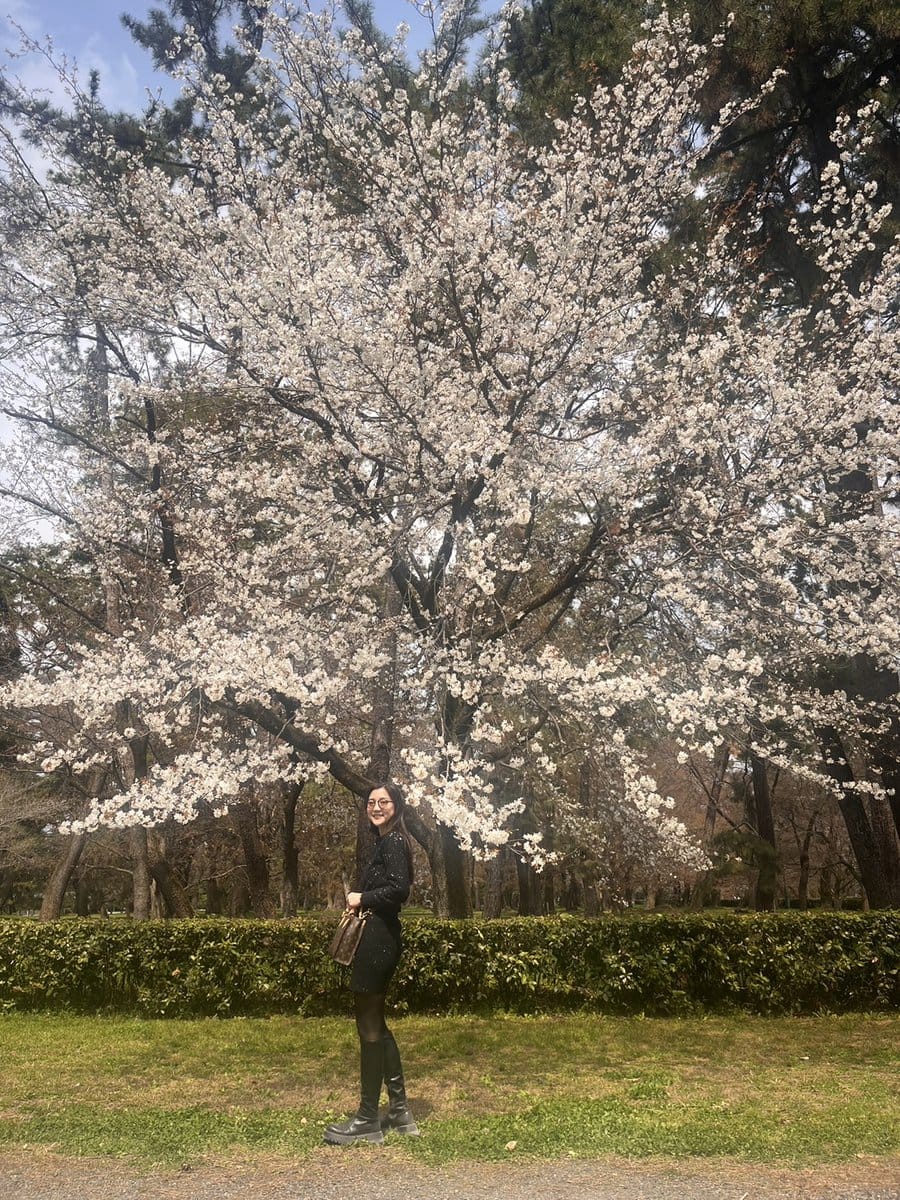 桜を前にした写真も撮りやすくて◎。