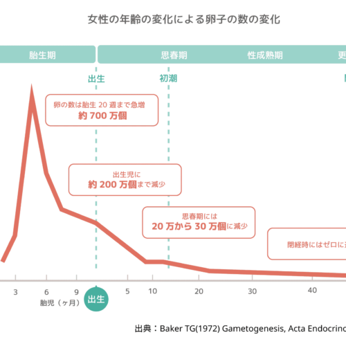 女性の年齢の変化による卵子の数の変化