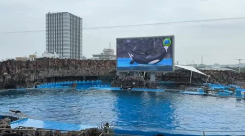 「水族館マニアが教える夏デートにおすすめ水族館3選」特徴と楽しむポイントを徹底解説！