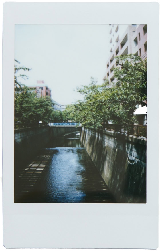 instax mini 99™作例