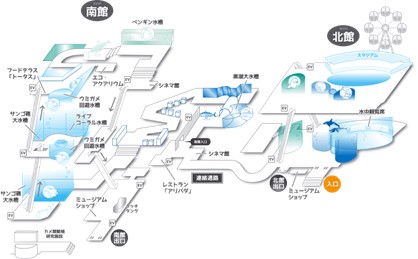 「水族館マニアが教える夏デートにおすすめ水族館3選」特徴と楽しむポイントを徹底解説！