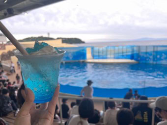 「水族館マニアが教える夏デートにおすすめ水族館3選」特徴と楽しむポイントを徹底解説！