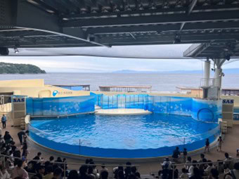 「水族館マニアが教える夏デートにおすすめ水族館3選」特徴と楽しむポイントを徹底解説！