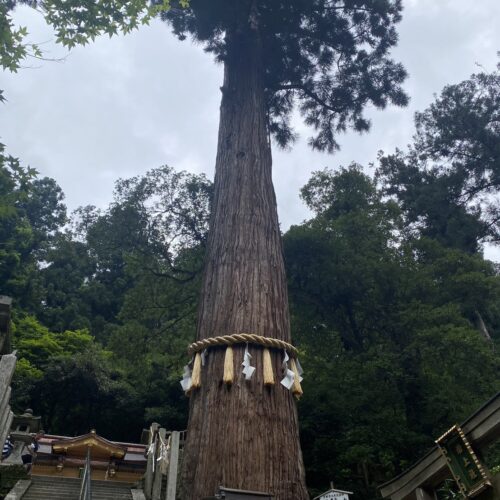 レイの好きなもの②寺社仏閣巡り