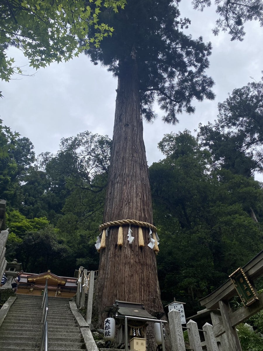 レイの好きなもの②寺社仏閣巡り