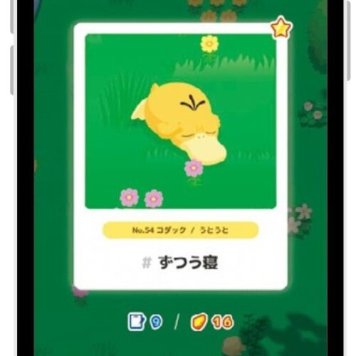 ポケモンの 寝顔を調査しよう