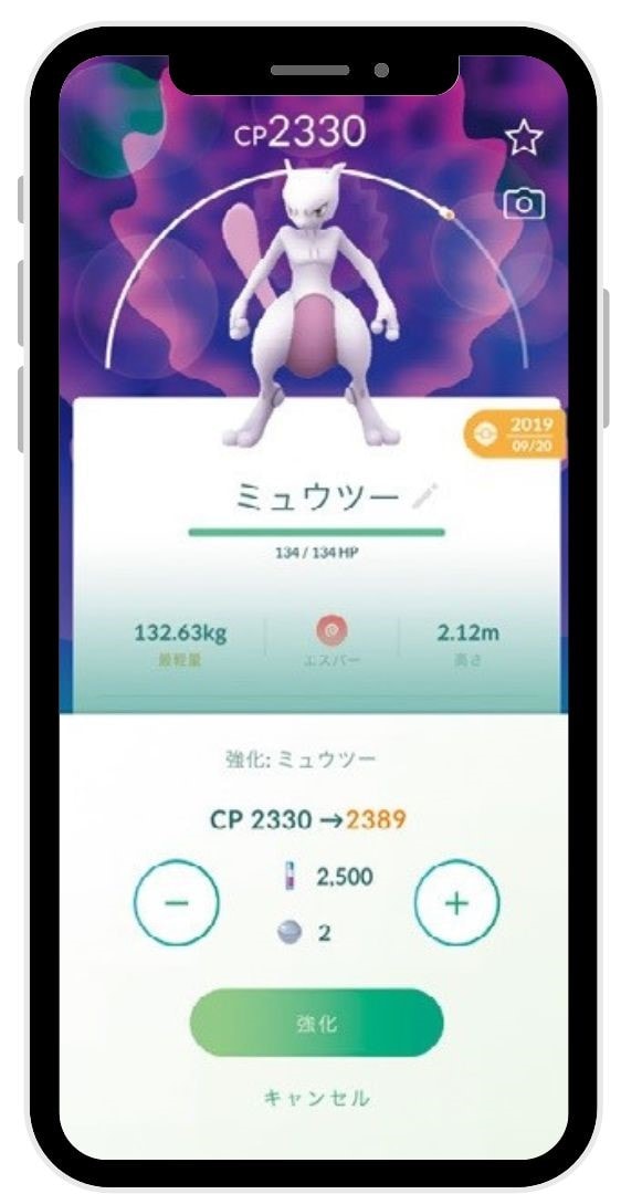 ポケモンを育てて 進化