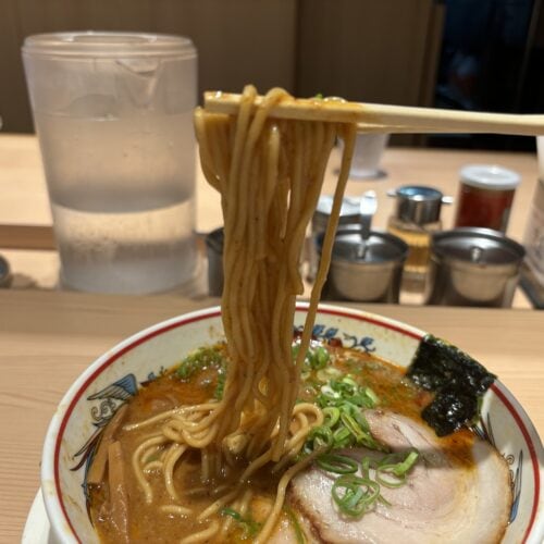 麺は太すぎず、細すぎず、中間くらいだった