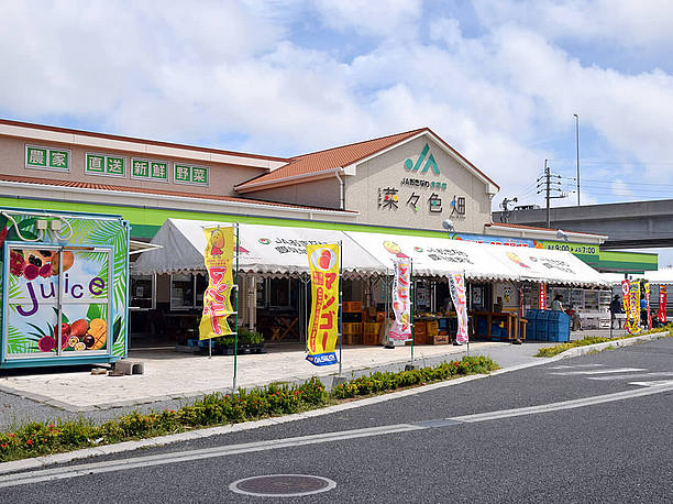 道の駅豊崎