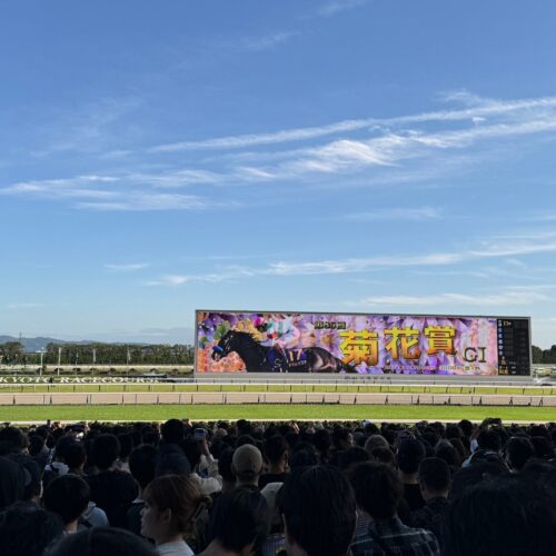 秋の京都競馬場は外気浴としても最高！