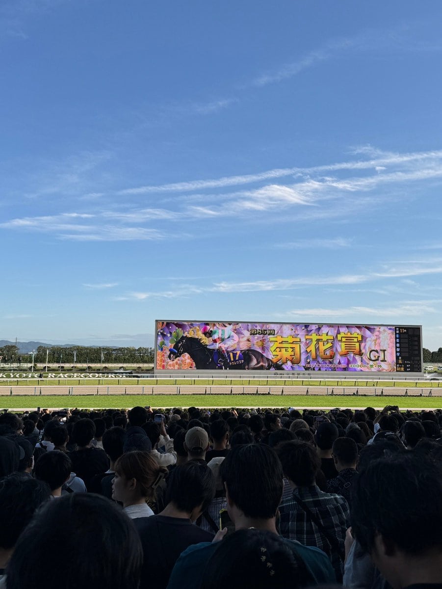 秋の京都競馬場は外気浴としても最高！