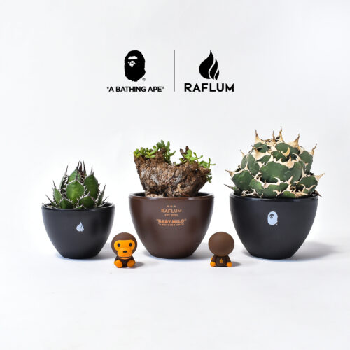 RAFLUMの定番アイテムのBOTH SIDES LOGO ECO POTをダブルネーム使用に変更した限定商品が登場。