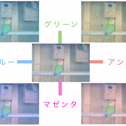 ホワイトバランスの調整で、好みの色合いを加えると……