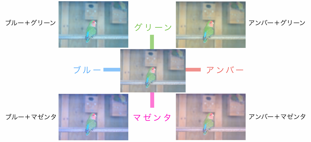 ホワイトバランスの調整で、好みの色合いを加えると……