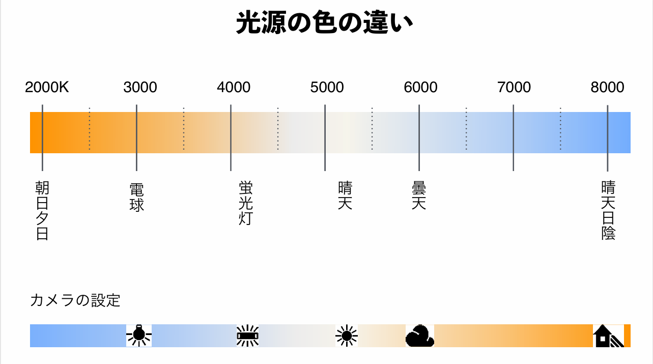 光源の色の違いとは？