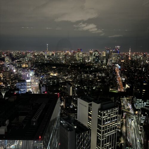 煌めく夜景を全身で受け止めているみたいな気持ちになれる