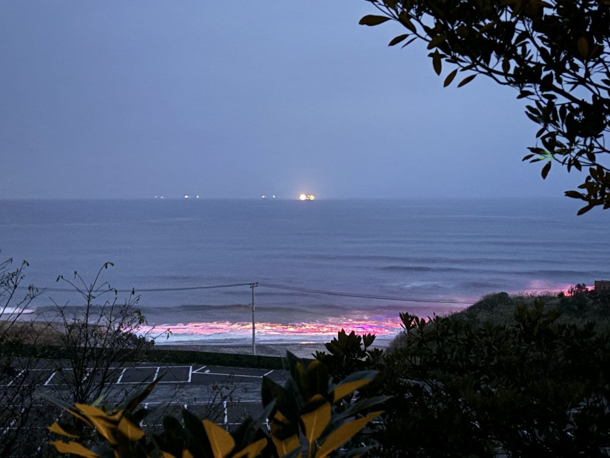 チームラボ 幽谷隠田跡　海が立ち上がる時花が咲く - 五浦の海 / Flowers Bloom When the Waves Rise - Sea of ​​Izura