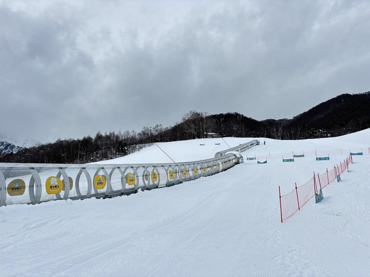 ポケモンスノーアドベンチャー　雪山デビューエリア