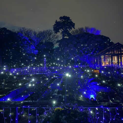 入口から写真スポット多数の「湘南の宝石」