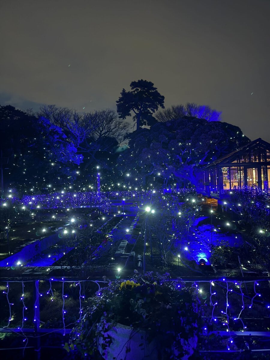 【湘南の宝石】エントランス近くの庭園