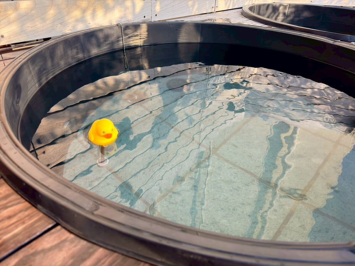 水風呂も抜群！アヒルが浮いてるのもかわいい「サウナみきじ」