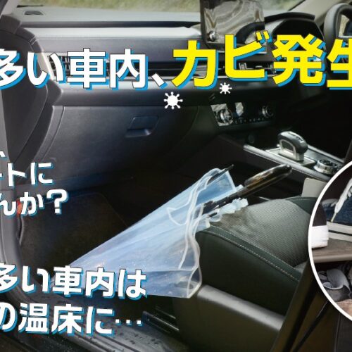 わさび De 快適空間
