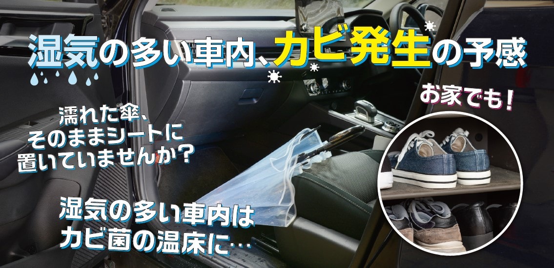 わさび De 快適空間