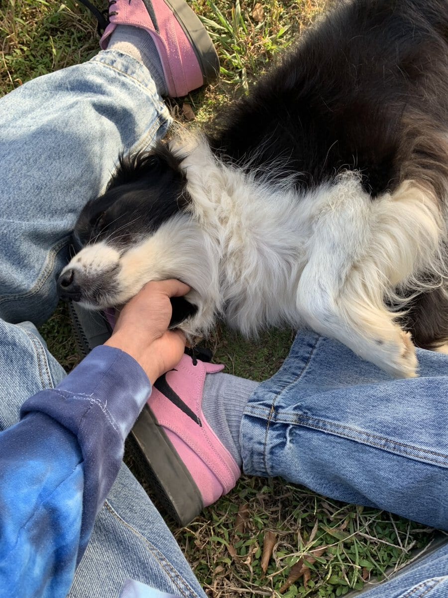 シャーンの好きなもの③愛犬のキキちゃん