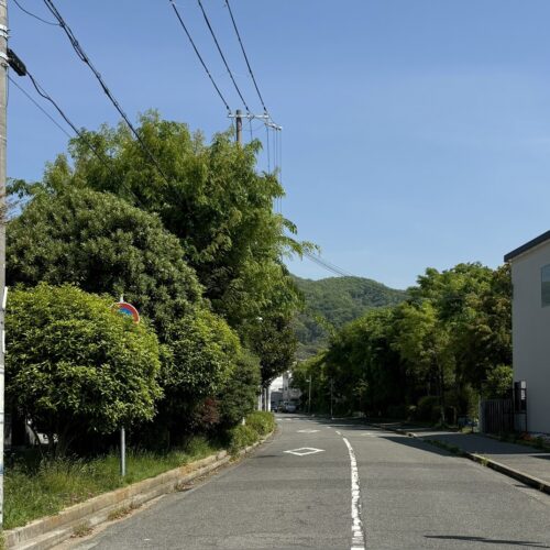リオの好きなもの②神戸