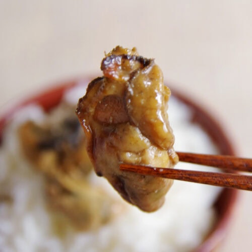 倉崎海産「花瑠＆花星（おいる＆おいすたー）」