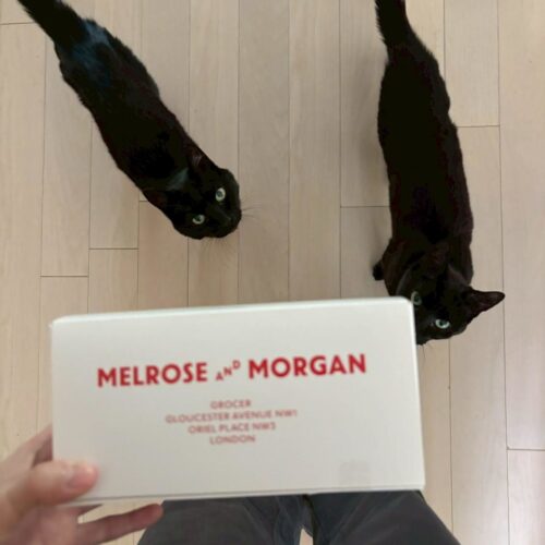 スタンフォード所属のモデル・一葉の好きなもの③愛犬と愛猫たち
