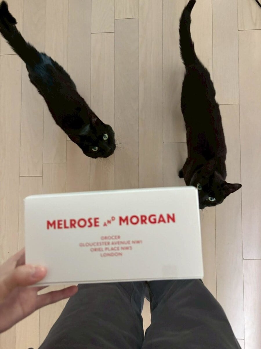 スタンフォード所属のモデル・一葉の好きなもの③愛犬と愛猫たち