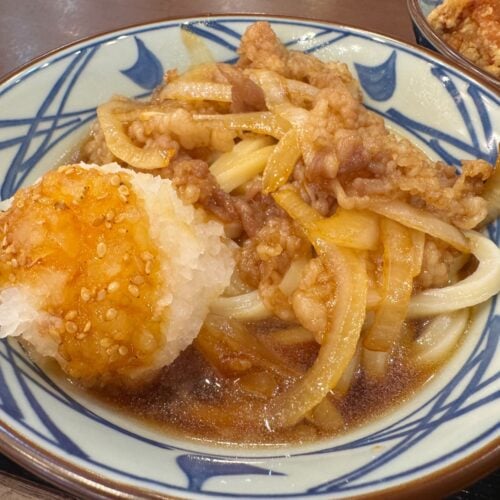 鬼おろし肉ぶっかけうどん