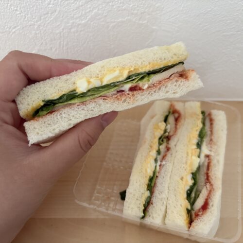 シャワーズ・サンダース・ブースターの彩りサラダチキンサンド