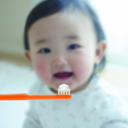 フッ素・合成殺菌剤・発泡剤・研磨剤・着色剤・合成保存料ゼロのため、ベビーにも安心。