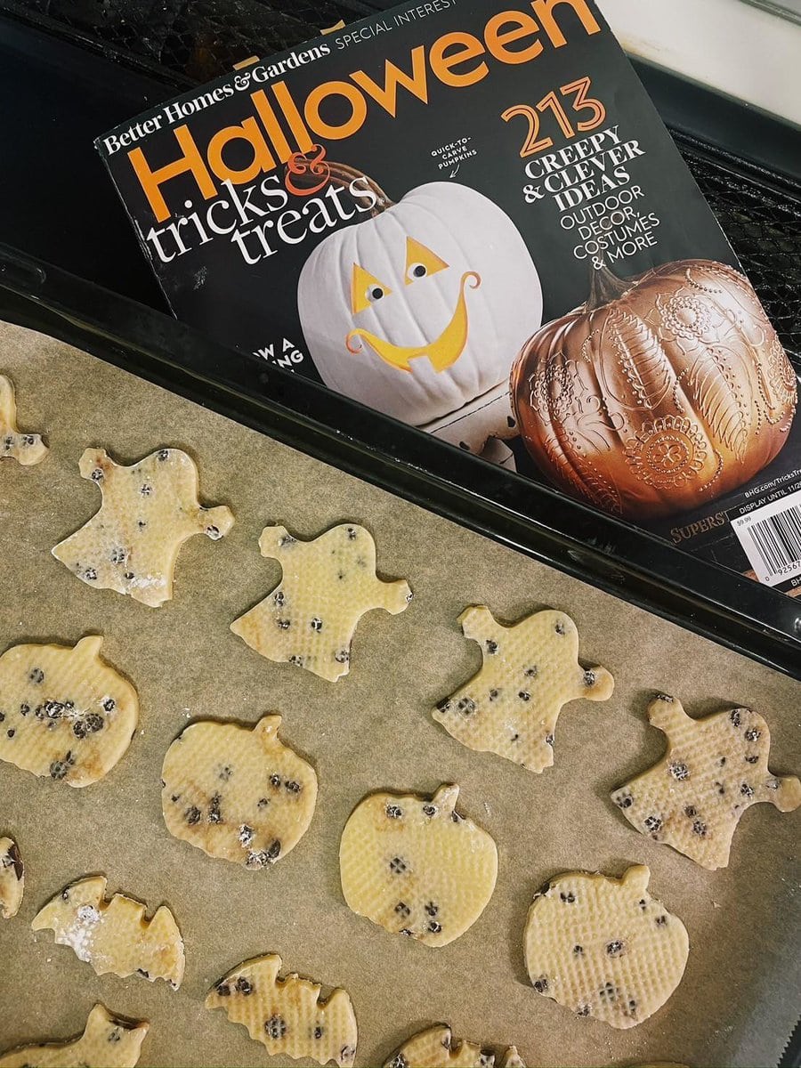 スタンフォード所属のモデル・一葉の好きなもの②ハロウィン