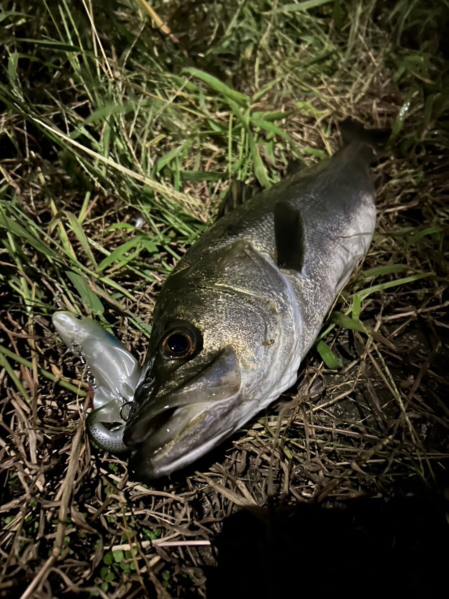 清水麗詩の好きなもの②釣り
