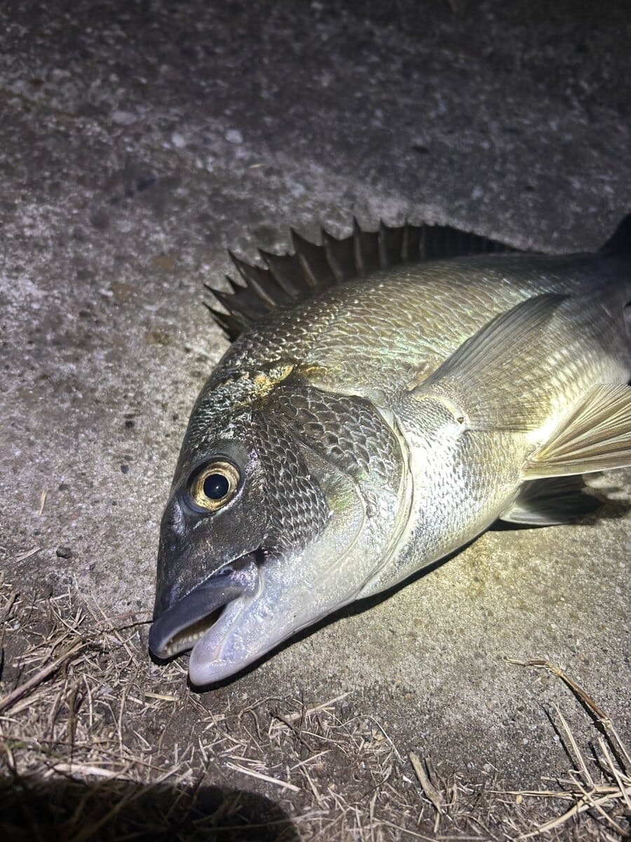 清水麗詩の好きなもの②釣り