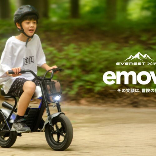 EVEREST XING emove