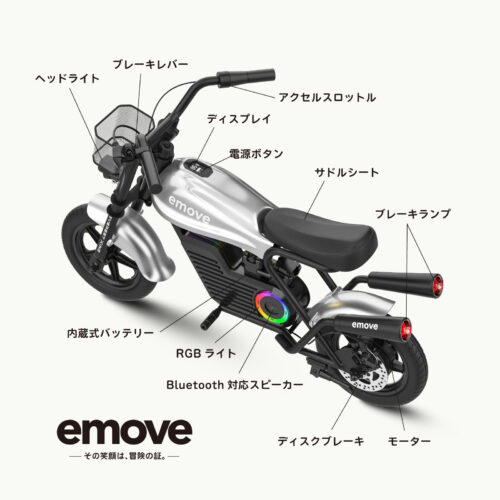 EVEREST XING emove