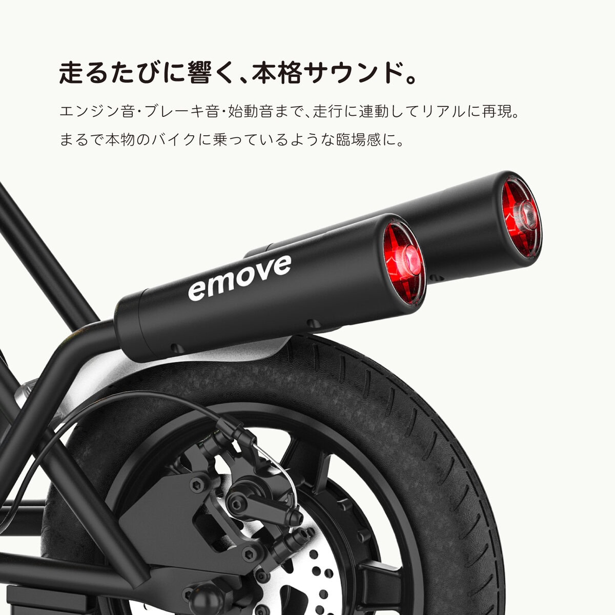 EVEREST XING emove