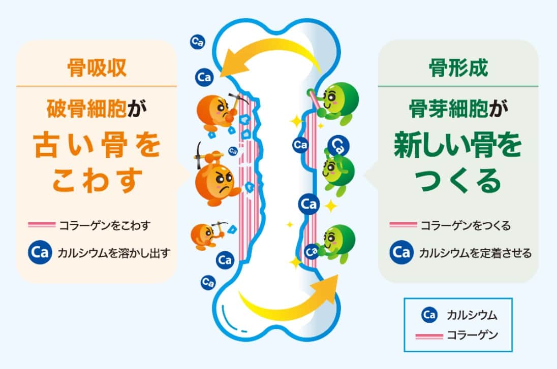 「性欲も精子力も骨を鍛えるとUP？」話題の若返りホルモン『オステオカルシン』の“驚がくの”秘密とは