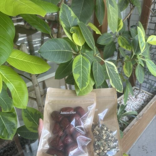 夢の好きなもの③漢方茶作り