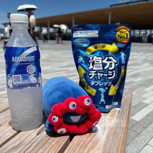 一番効果的な暑さ対策が冷凍スポーツドリンクでした。保冷剤として持ち歩けて、夕方には飲み頃になります