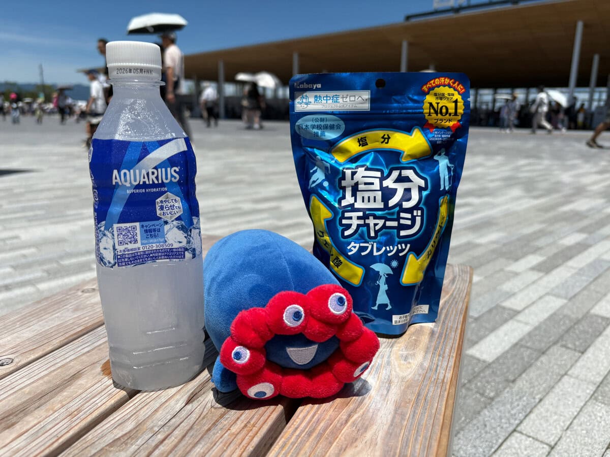一番効果的な暑さ対策が冷凍スポーツドリンクでした。保冷剤として持ち歩けて、夕方には飲み頃になります