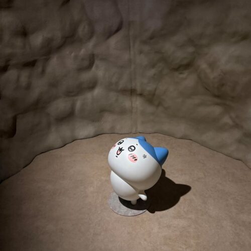 穴に落ちたハチワレ